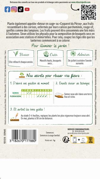 Fleurs - Physalis Lanterne Chinoise - MEDIA_PACKAGING_VERSO